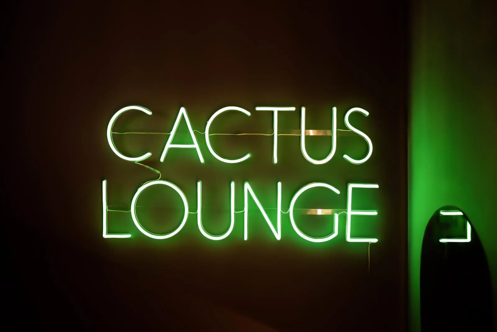 Cactus Lounge Bar